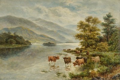 Loch Etive da William Langley